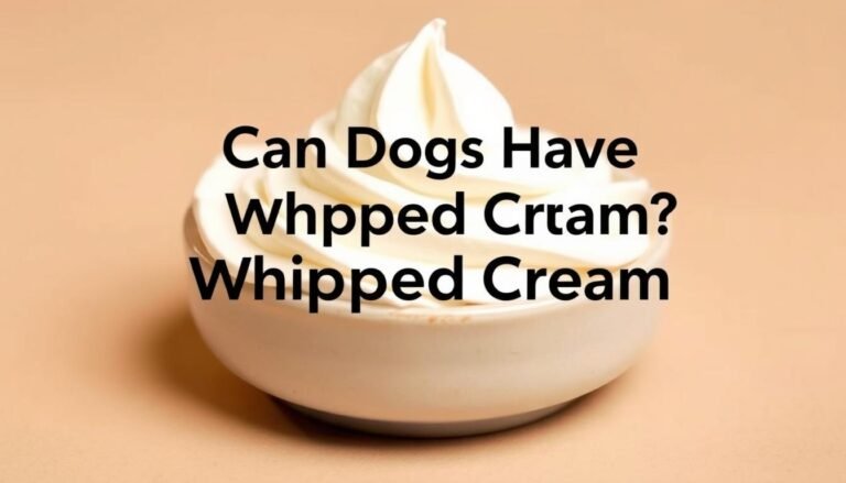can dogs have whipped cream