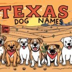 texas names for dogs