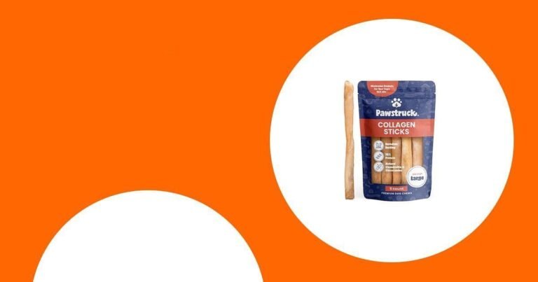 50 Must-Try Dog Bones for Sensitive Stomachs This Season