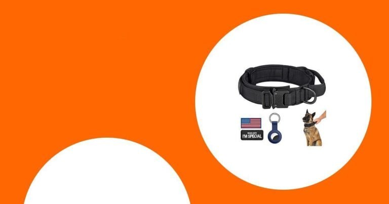 Discover the Top 25 Collars for Your Bernese Mountain Dog This Summer