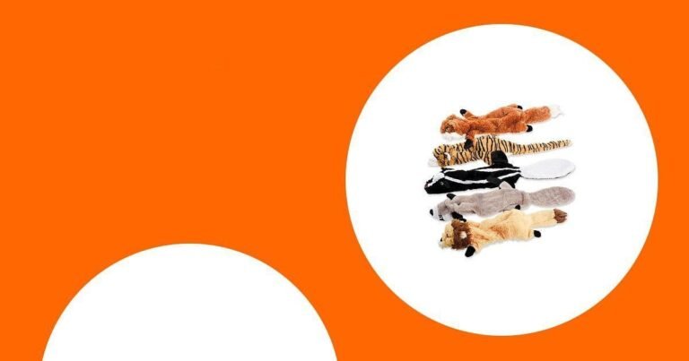 20 Pawsitively Perfect Bernese Mountain Dog Toys for a Tail-Wagging Summer 2025