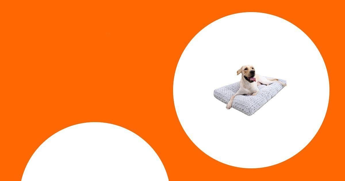 The 45 Best Car Dog Beds That Will Make Your Pup Feel Like a VIP Passenger