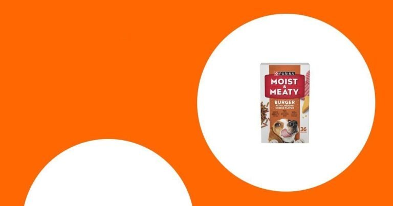 The 25 Best Dog Foods for Bernese Mountain Dogs Rated 2025